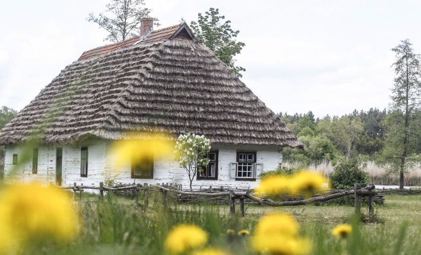 Skansen w Kolbuszowej to wyjątkowa pamiątka naszej historii....