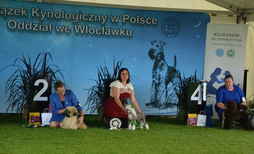 W Lipnie można było podziwiać psie piękności z całego z kraju – przedstawicieli wszystkich ras!