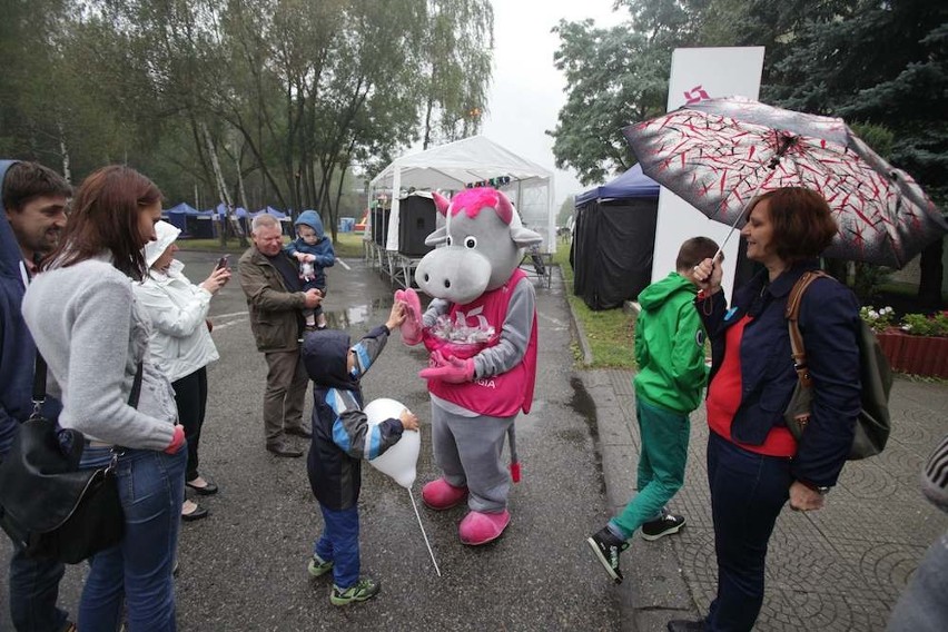 Elektrociepłownia Katowice piknik Tauron