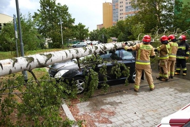 Strażacy usuwają powalone drzewo