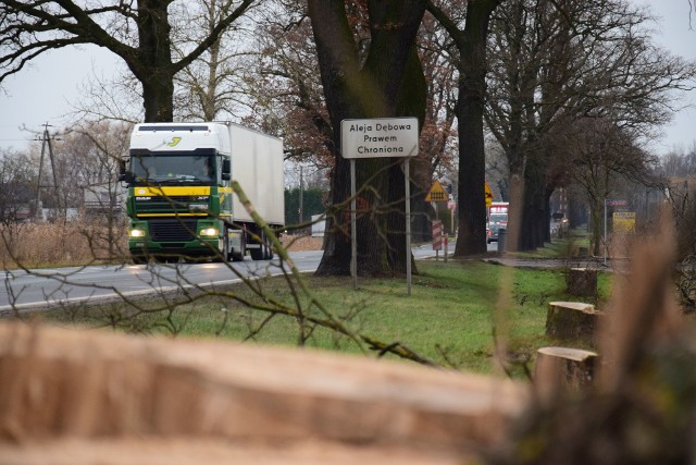 W Sławęcinku, przy drodze krajowej nr 15, wycięto już sporo drzew. Na wycięcie czekają również cztery dorodne dęby będące częścią alei prawem chronionej