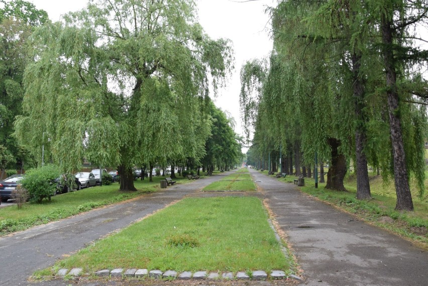 Zobacz, jak się zmieniła oleska promenada: tak było - tak...