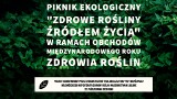 Piknik ekologiczny „Zdrowe rośliny źródłem życia”