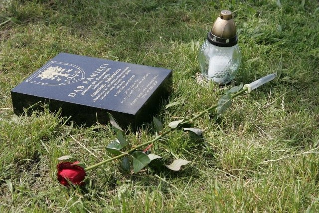 Dęby Pamięci poświęcone są pięciu Polakom, zamordowanym w Katyniu. Każde drzewo zasadziła jedna z pięciu kostrzyńskich szkół.