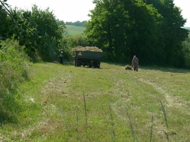 Rolnicy wykorzystali dwa tygodnie pogody i na polach, jak w rejonie Szwarszowic, zostały już tylko resztki plonów.