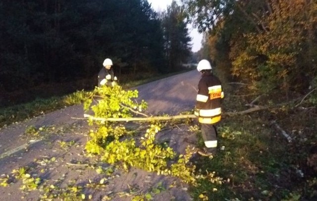 Boguty-Pianki. W ostatnich trzech tygodniach strażacy z miejscowej OSP interweniowali trzy razy. Z powodu bobrów.