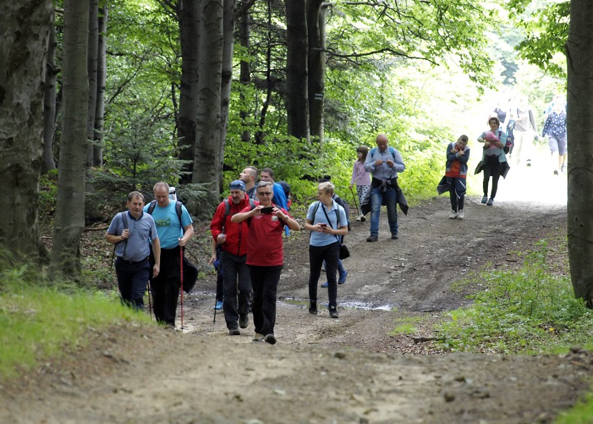 Odkryj Beskid Wyspowy. W sobotni deszczowy wieczór pokonali Korab, a w niedzielny słoneczny poranek wspięli się na Jaworz