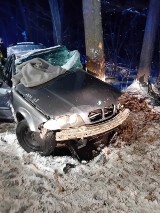Groźny wypadek w Palowicach (powiat rybnicki). BMW uderzyło w przydrożne drzewo. Dwie osoby przewieziono do szpitala