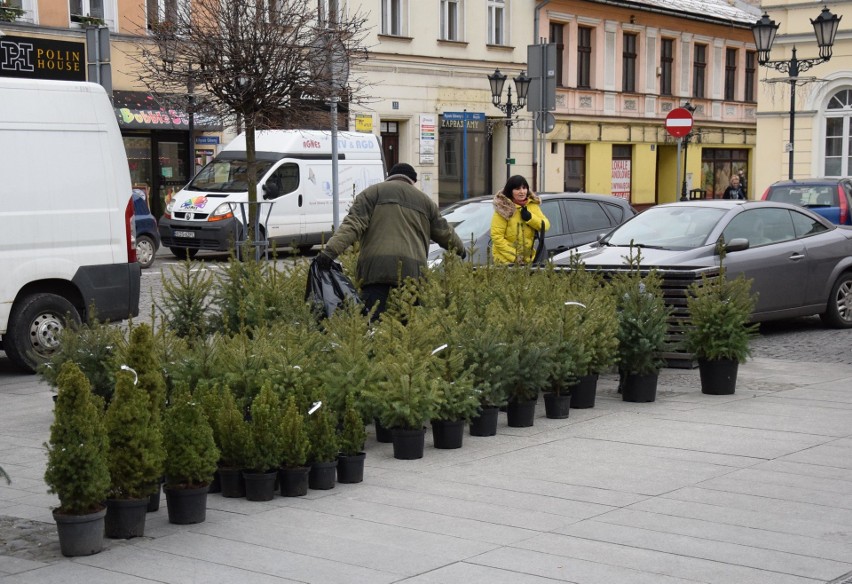 W sobotę 15 grudnia na oświęcimskim rynku rozpoczął się...