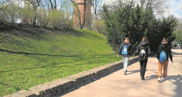 Toaleta kontenerowa ma zostać postawiona w tym miejscu. Trzeba rozebrać murek i częściowo także skarpę. Z zewnątrz toaleta ma mieć lustrzaną okładzinę, będzie się w niej odbijać otoczenie