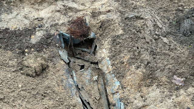 Ekshumacja szczątków z mogiły w Szprotawie