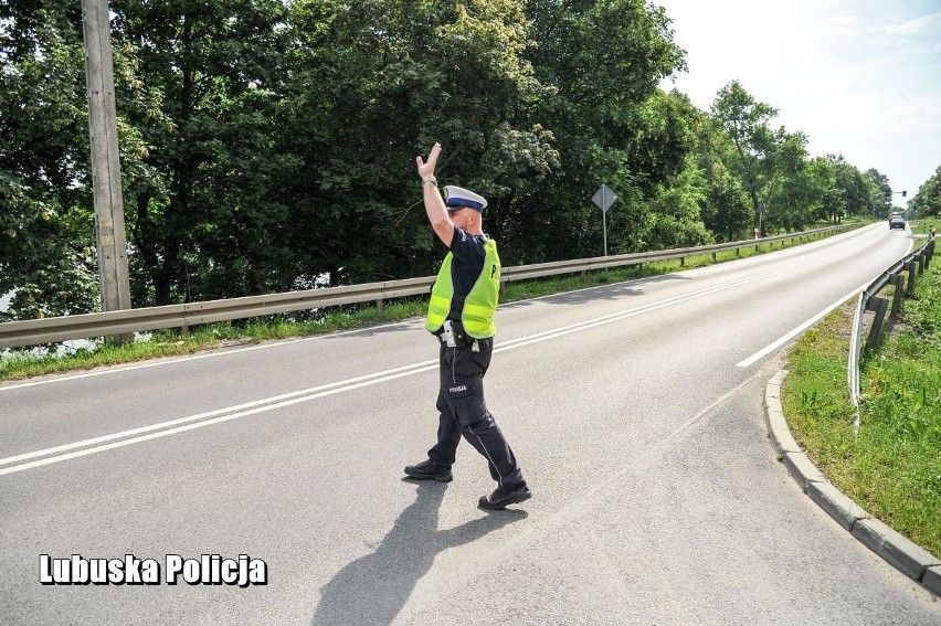 W poniedziałek (11 czerwca) policjanci lubuskiej drogówki...