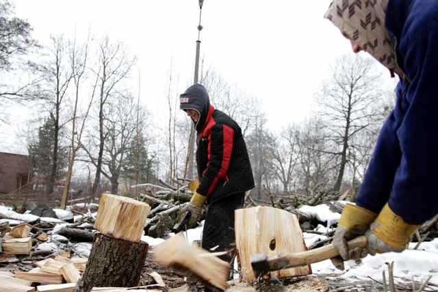 Wolontariusze stowarzyszenia Droga rąbią drewno
