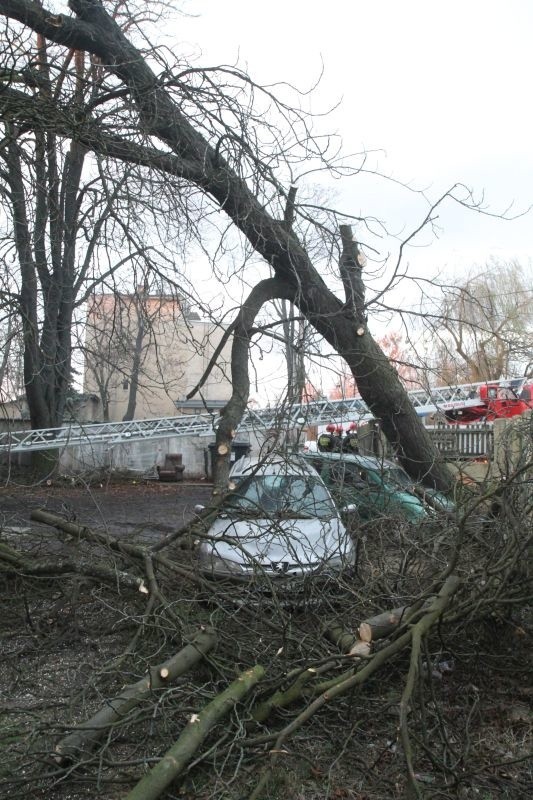 Drzewo runęło na dwa samochody i budynek przy ul....