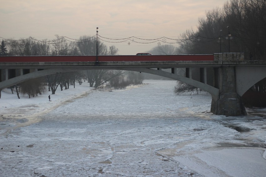 Oświęcim. Wszyscy martwili się o samotnego łabędzia, który siedział na Sole skutej lodem [ZDJĘCIA]