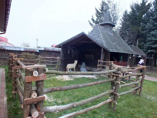 W żywej szopce, w Kałkowie, za tym ogrodzeniem, wystąpią zwierzęta z mini ZOO, istniejącego przy sanktuarium Bolesnej Królowej Polski