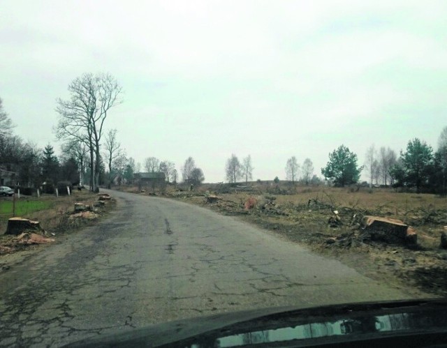 Tak wygląda droga powiatowa Głobino - Dobieszewo po wycięciu części drzew