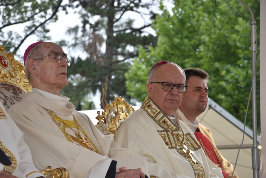 Uroczystości ku czci św. Jacka w Kamieniu Śląskim.