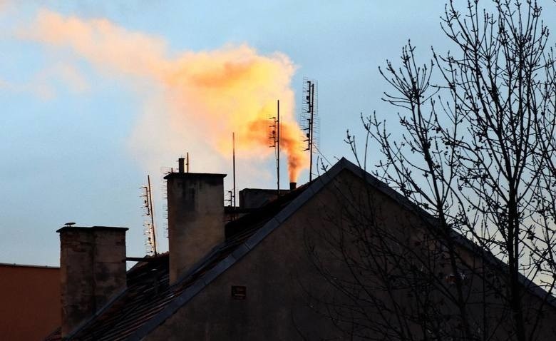 Mieszkańcy już nie palą w piecach śmieciami. Straż Miejska: Jakość powietrza w Krakowie poprawia się