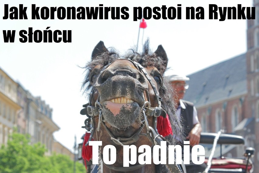 Koronawirus dotarł do Krakowa. Internauci reagują memami 