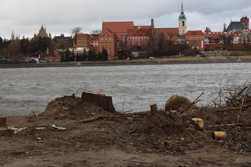 Tak wyglądało otoczenie toruńskiego mostu wczesną wiosną,...