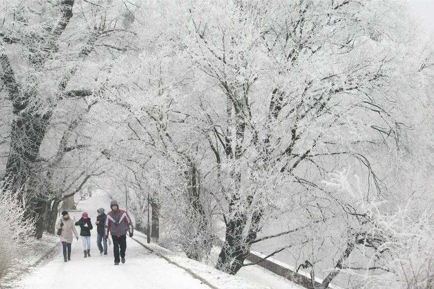 Nad region łódzki przyszły opady śniegu. W Łodzi we wtorek (...