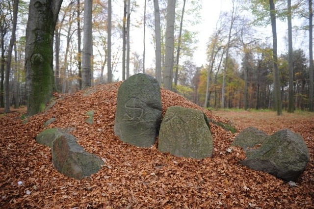 Dąbrowa Leśna pod Kędzierzynem-Koźlem, niewielki kopczyk i kilka potężnych głazów z wyrytymi starogermańskimi symbolami. Prawdopodobnie to było miejsce spotkań towarzystwa okultystycznego Thule.