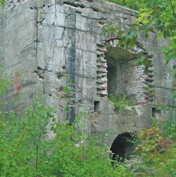 Roślinność kryje ruiny chluby największej w III Rzeszy cementowni "Portlandzemmentfabrik Stern".