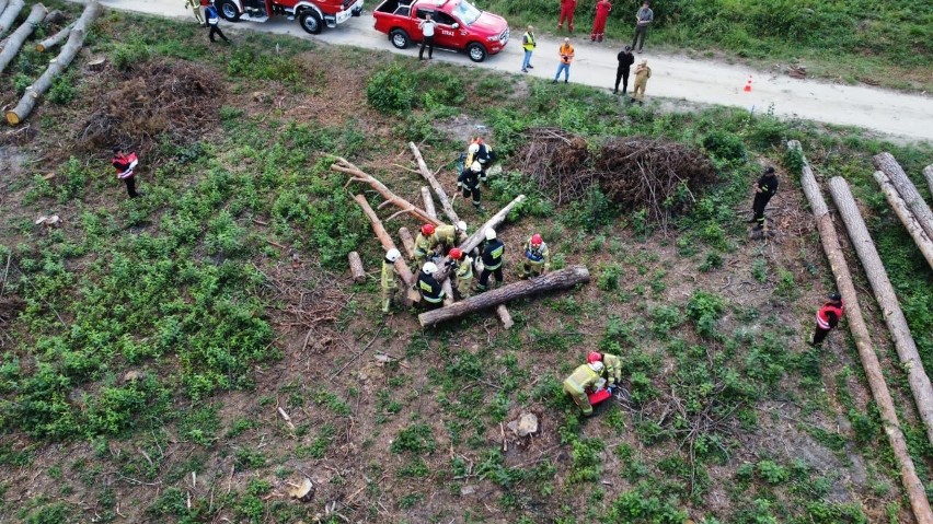 Wielka akcja służb ratowniczych i mundurowych w lasach koło Łoniowa. Gaszono pożar i szukano zaginionych dzieci. Zobacz zdjęcia