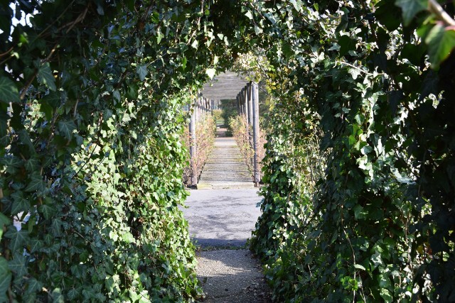 Rosarium Parku Śląskiego w jesiennej odsłonie