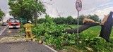 Groźny wypadek w Gdowie. Drzewo spadło na jadący samochód [ZDJĘCIA]