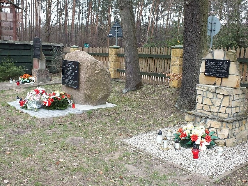 O rocznicy akcji oddziału partyzanckiego Szarego w Marculach pamiętał Kazimierz Dziekoński