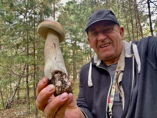 Nieformalny król świętokrzyskich grzybiarzy, Zbigniew Oziębło z Buska - Zdroju w weekend cieszył się ze sporych zbiorów. "Najpiękniejszy borowik szlachetny jaki udało mi się w tym sezonie grzybowym spotkać, miał 25 centymetrów wysokość trzonu"  napisał. W weekend 16-18 września na grzybach było w Świętokrzyskiem tysiące osób, wielu znanych. Zobaczcie Wasze zbiory na kolejnych zdjęciach.