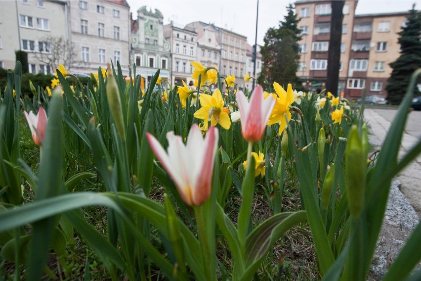 Saldo migracji 2,8 na 1000 mieszkańców