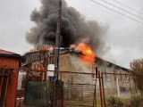 Pożar budynku socjalnego w Baniach. Kilka rodzin straciło dach na głową [ZDJĘCIA]
