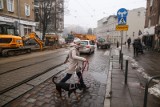 Utrudnienia na poznańskich ulicach. Sprawdź gdzie możesz spotkać drogowców