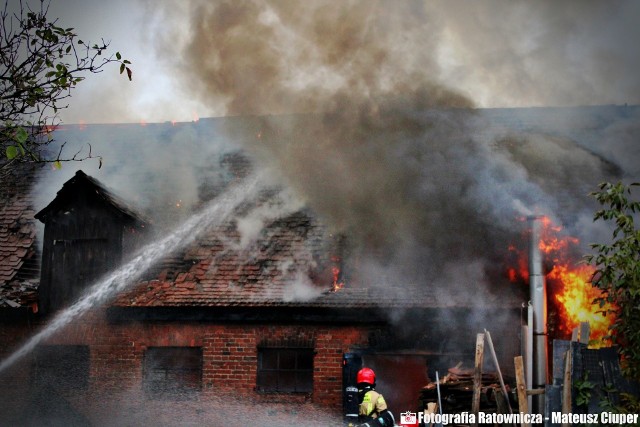 Do pożaru w centrum Podgórzyna doszło w środę, 25.10.2023, po godzinie 15. Na miejscu pracowały jednostki ze Żnina i okolicznych wsi. Oto relacja zdjęciowa z akcji strażaków