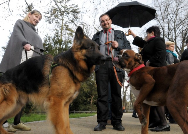 Kwietniowy protest właścicieli psów w Ogrodzie Saskim był związany z wprowadzeniem nowego regulamimu parku