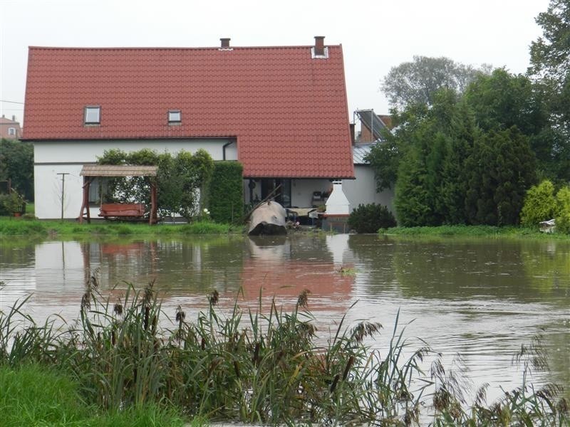 W gminie Reńska Wieś podtopionych zostało około 30 domów i...