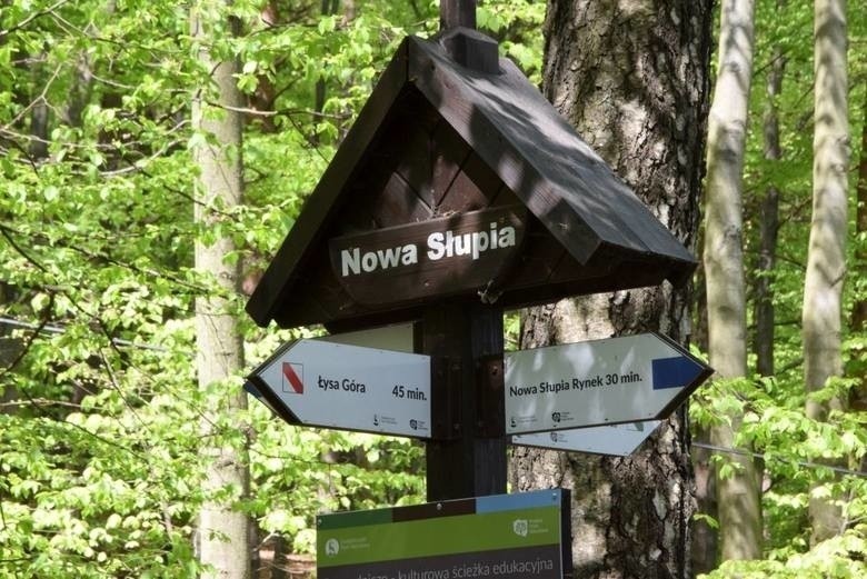 W Świętokrzyskim Park Narodowym nie brakuje pięknych miejsc,...