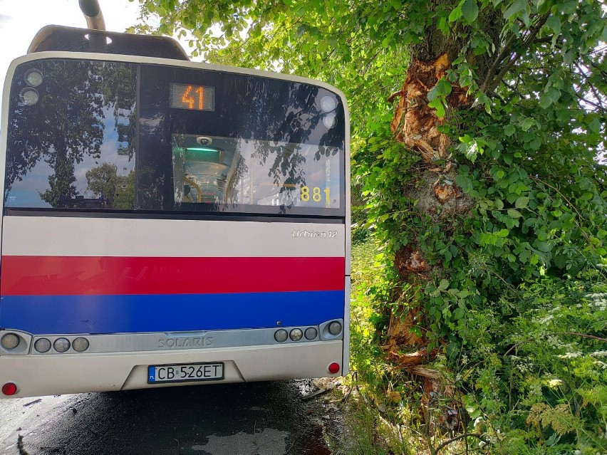 Autobus uderzył w drzewo w gm. Dobrcz. Sześć rannych osób przewieziono do szpitala