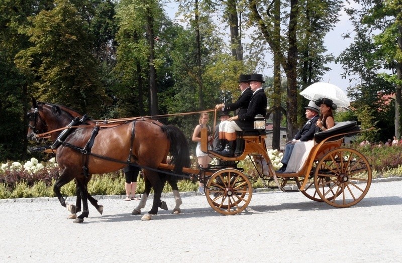 Przepiękne konie, piękne stroje i sportowa rywalizacja, a...