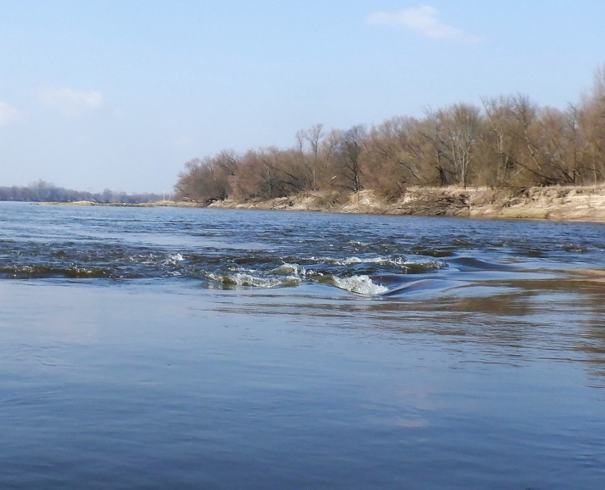 Wisła na wysokości Kępy Ostromeckiej (między Solcem...