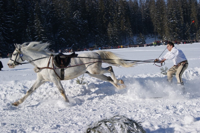 Skiring, ski-skiring oraz kumoterki...