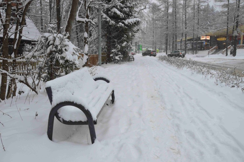 Zakopane. Intensywne opady śniegu. Drogi białe, ale na razie przejezdne [ZDJĘCIA]