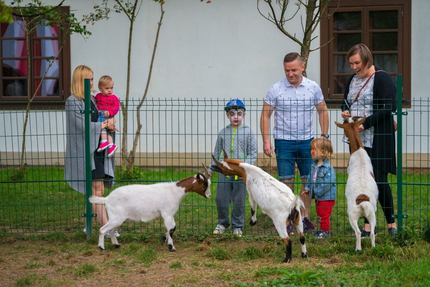 Karpaty OFFer zakończyła Karpacka Familiada [ZDJĘCIA]