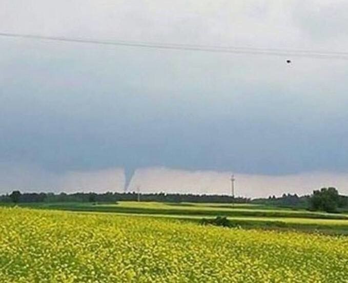 Trąba powietrzna pozrywała dachy i łamała drzewa! Internauci wrzucają. FILMY