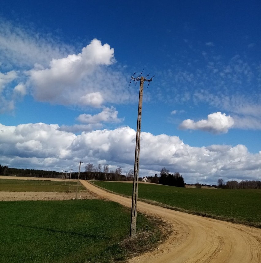 Złodzieje przewodów linii elektroenergetycznej zatrzymani przez białostocką policję [ZDJĘCIA]