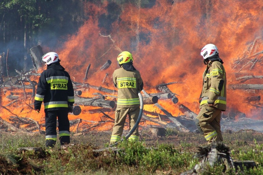 Ćwiczenia pożarnicze w Nadleśnictwie Manowo