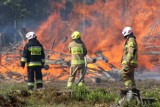 Ćwiczenia pożarnicze w Nadleśnictwie Manowo. W akcji dromader i śmigłowiec gaśniczy [ZDJĘCIA, WIDEO]